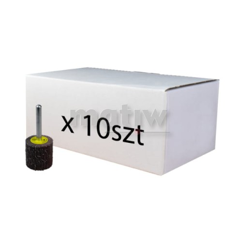 ŚCIERNICA TRZPIENIOWA 30 x 20 x 6 mm PŁÓTNO P60 10szt